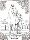 coloring_pages/horses/horses_36.jpg
