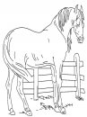 coloring_pages/horses/horses_44.jpg