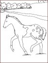 coloring_pages/horses/horses_51.jpg