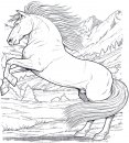 coloring_pages/horses/horses_6.jpg