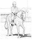 coloring_pages/horses/horses_68.jpg