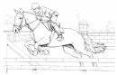 coloring_pages/horses/horses_70.jpg