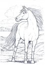 coloring_pages/horses/horses_9.jpg