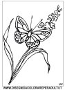 coloring_pages/spring/spring_00.jpg