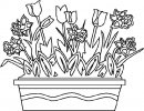 coloring_pages/spring/spring_29.jpg