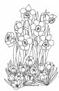 coloring_pages/spring/spring_36.jpg