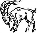 coloring_pages/zodiac_signs/Sea-goat.gif